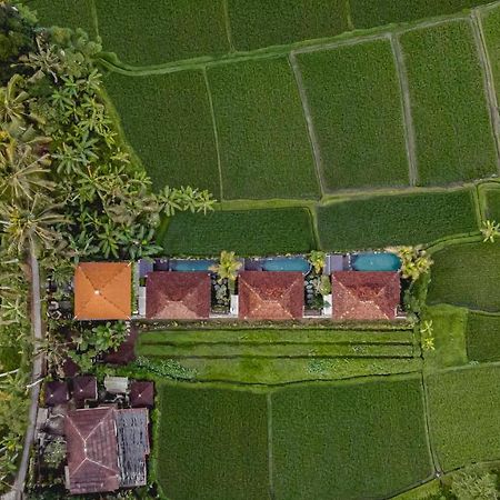 Airsania Ubud Antique Villas Exterior photo