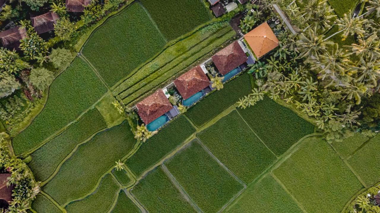 Airsania Ubud Antique Villas Exterior photo